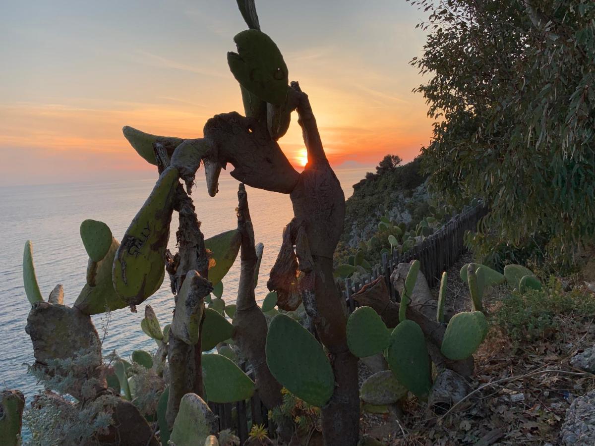 Villetta Maria Teresa Capo Vaticano Esterno foto